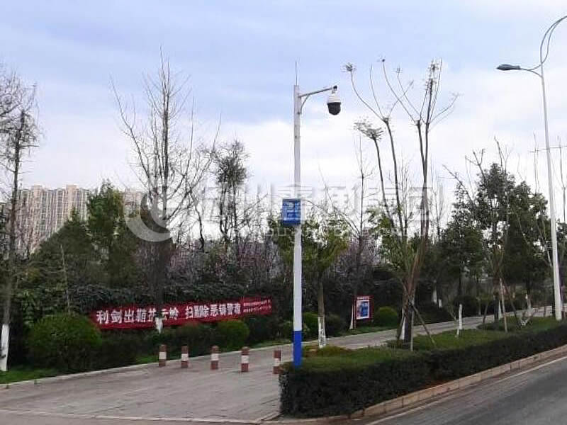 DJG-025，電子警察桿，治安監(jiān)控桿